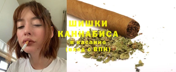 амф Белоозёрский