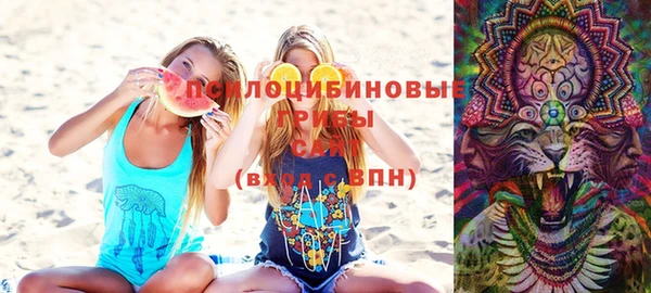 твердый Белокуриха