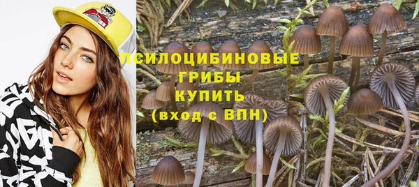 твердый Белокуриха