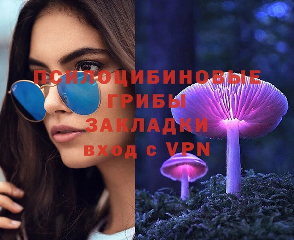 твердый Белокуриха