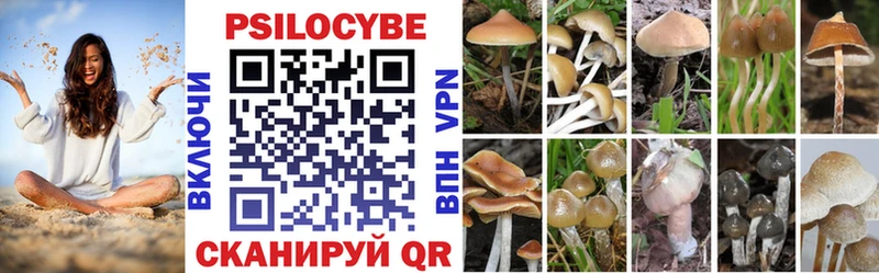 наркошоп  Дальнегорск  Псилоцибиновые грибы мицелий 