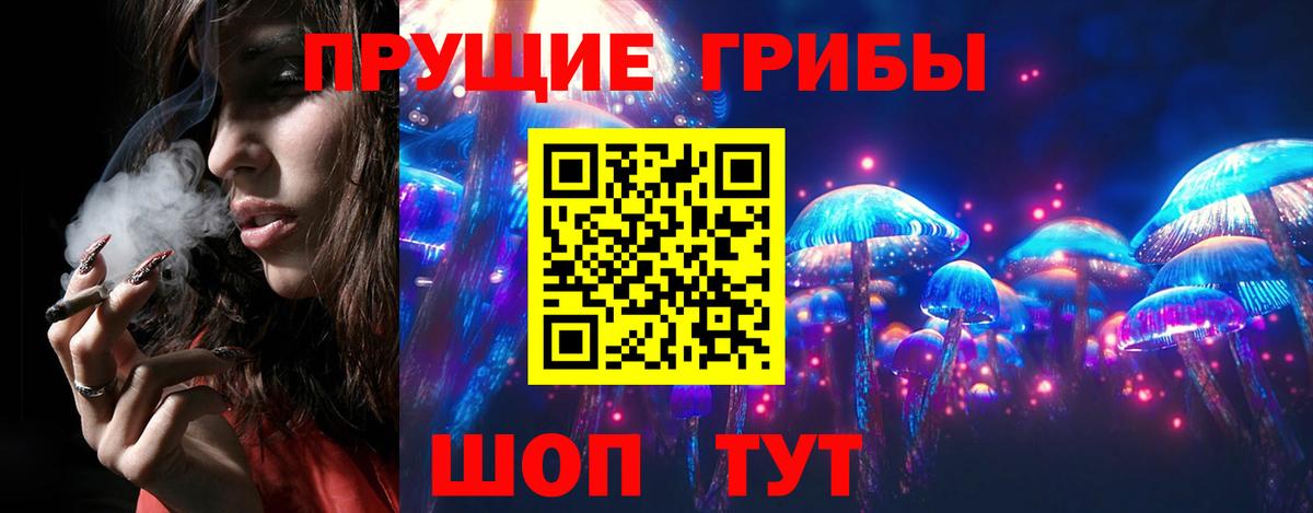 купить   Галлюциногенные грибы Psilocybine cubensis  Вход с VPN  Дальнегорск  Галлюциногенные грибы Psilocybe 